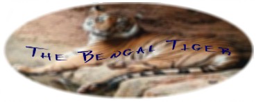 The Bengal Tiger